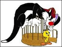 Comme le Coyote court après le Bip Bip, Sylvestre essaie d'attraper et de manger le p'tit Titi de la vieille dame ! De quelle légère infirmité souffre le chat ?