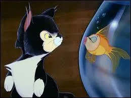 Dans ''Pinocchio'' , un chat tout doux apparaît. Il s'appelle...