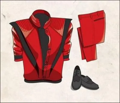 Cette tenue irait bien  ...