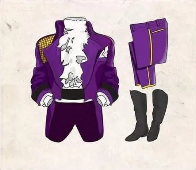 Cette tenue irait bien  ...