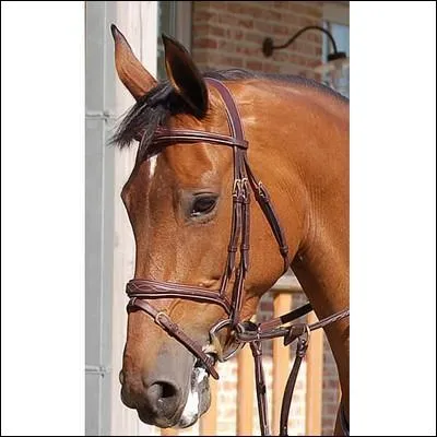 Cette muserolle combine les caractéristiques de la muserolle française et allemande. Elle est souvent confondue avec un autre type de muserolle. C'est :