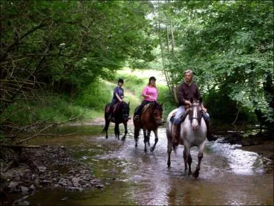 En promenade, quand tu croises des personnes, que fais-tu ?