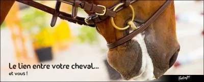 Pour savoir si le mors du filet est bien réglé :