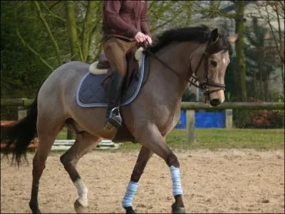 Quand tu veux tourner vers la droite :