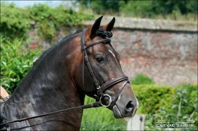 Cite les aides naturelles :