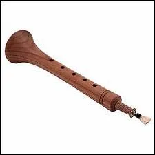 D'o vient cet instrument ?