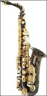 Quel est cet instrument ?