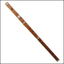 Quel est cet instrument ?