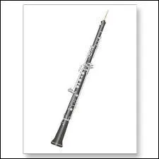 Quel est cet instrument ?