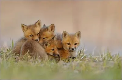 Il signe de la pointe de l'pe !