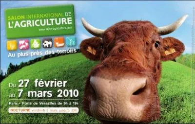 Quelle race bovine est reprsente sur cette pub ?
