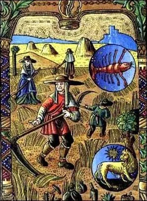  quelle priode de l'anne se droule la scne qui se trouve sur cette enluminure (qui s'intitule 'Le mois de juillet du calendrier des bergers' et qui date de l'anne 1500 environ) ?