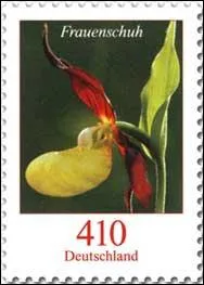 Quelle est cette fleur de la famille des monocotyldones dont 20 000 espces existent, visible sur ce timbre d'Allemagne ?