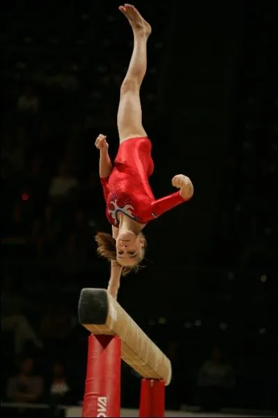 Quelle est cette figure ?