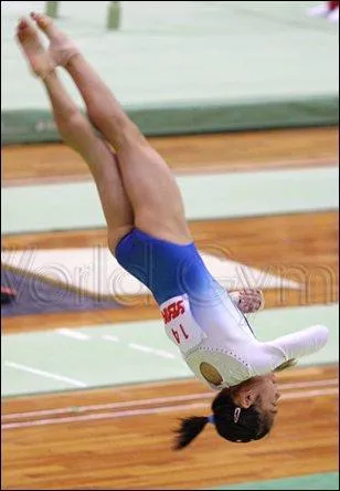 Quelle est cette figure ?