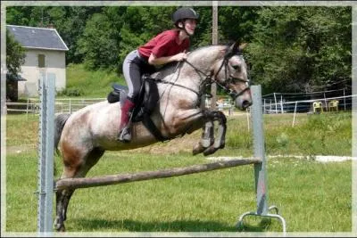 Comment appelle-t-on cet obstacle ?