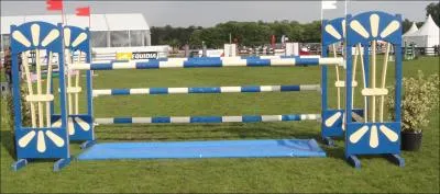 Comment appelle-t-on cet obstacle ?