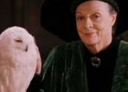 Quiz Les femmes dans Harry Potter : Minerva McGonagall