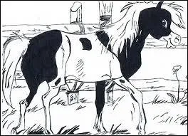 ''Petit Tonnerre'' est le cheval de...