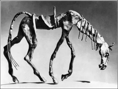 En littrature, de quel hros Rossinante est-il le cheval ?