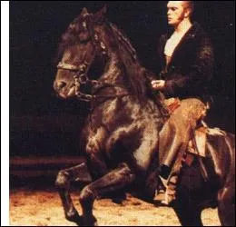 Bartabas a créé une forme de cirque-spectacle originale dont les acteurs principaux sont les chevaux. Il lui a donné le nom de son premier cheval :