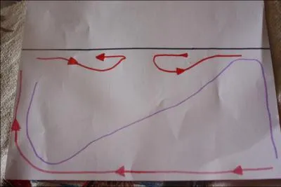 Que reprsente le trait rose ?