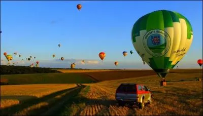 Issus d'une chrysalide, ils colorent le ciel !