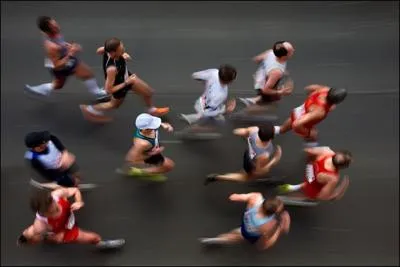 Ils vous pistent et vous chassent en meute !