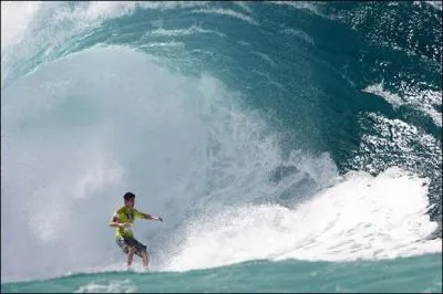 C'est souvent dans la vague qu'il vous prend pour un phoque !