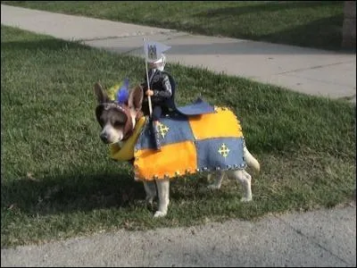 En quoi suis-je dguis ?