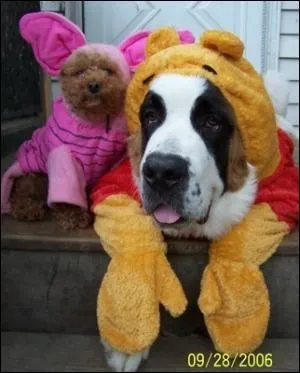 En quoi sommes-nous dguiss ?