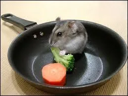 Ah, a brle ! Dans quoi est le hamster ?