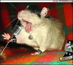 La la la lalala ! Que fait-il ?