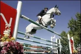 Quelle discipline est pratique par ce cavalier ?