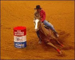 Quelle est la discipline reprsente ici ?