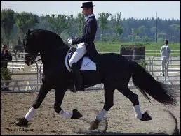 Quelle est cette discipline ?