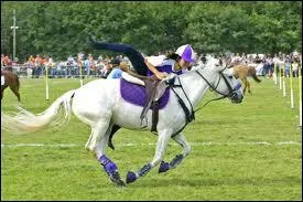 Quelle est la discipline prsente ?