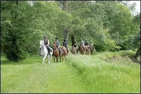 Quelle est cette discipline ?