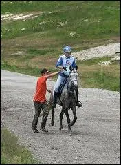 Quelle est la discipline ?