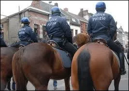 Sur quoi peut-on 'tre trs  cheval' ?