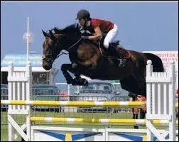 Quelle est cette discipline questre ?