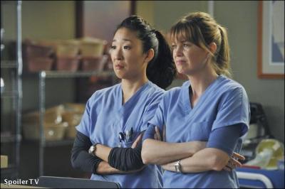 Quel est le surnom donn  Meredith et Cristina ?