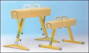 Quelle est la race de ce cheval et de son petit ?