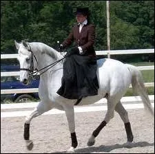 Comment cette cavalire monte-t-elle  cheval ?