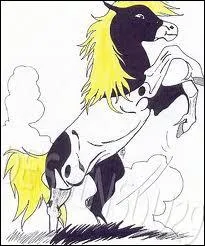 A qui appartient ce cheval ?