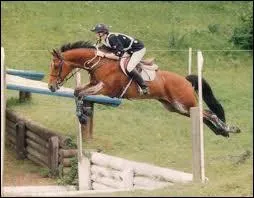 En quoi consiste le concours complet d'quitation (CCE), discipline olympique appele aussi le triathlon questre ?