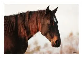 Et voici mon amie...