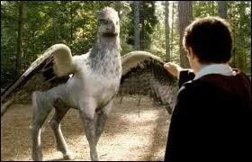 Comment s'appelle ce 'cheval mythique' rencontr dans la saga 'Harry Potter' ?