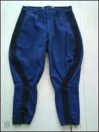Qu'est-ce qu'une culotte de cheval ?