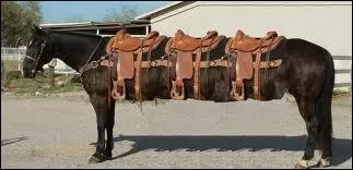 Que signifie 'monter sur ses grands chevaux' ?